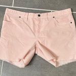 Carve Designs Oahu 6” Corduroy Shorts size 14 Photo 0