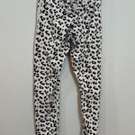 Ryderwear Scrunch High Waisted Leggings 530 Photo 2