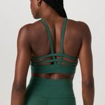 Vuori  Yosemite Longline Bra Photo 1