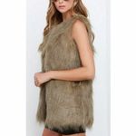 Black Swan  | Faux Fur (Brown/Taupe) Vest NWOT Photo 1