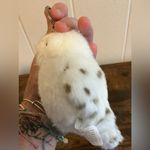 Out Of Stock Vntg Universal Studios Wizarding Harry Potter Hedwig Plush Keychain White Photo 2