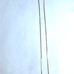 14k Gold Herringbone Chain Photo 4