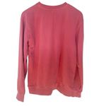 Independent trading company Delta airlines pink small hoodie see pictures for sm Size undefined Photo 2