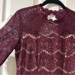 Francesca's Francesca’s Burgundy Lace Dress with Tulle Photo 3