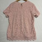 Teddi Rose Velvet Lace Blouse Womens XL Fairy Coquette Short Sleeve Soft Pink Photo 1