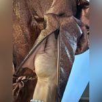 Michael Costello New!  x REVOLVE Hadley Mini Dress in Bronze Sz Small‎ $238 Photo 4