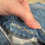 American Eagle  Mom Short Floral Embroidered Size 4 Photo 7