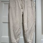 ALBION FIT  At Ease Joggers in Birch Photo 1