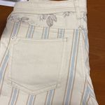 Pilcro and the Letterpress  Slim Boyfriend Shorts 27 Photo 7