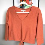 Madewell  Texture & Thread Orange V-Neck Sweater Photo 10