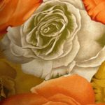 Susan Lawrence Orange Gold Fitted Cap Sleeve Blouse Photo 7