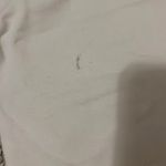 Converse Cropped Sweatshirt Photo 4