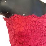 ZARA  Floral Lace Strapless Dress in Pink Size Large Photo 1