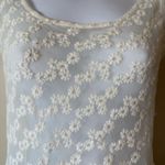 American Eagle Outfitters Women's Lace Peplum Top small Ivory Floral Sheer Blou Photo 1