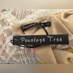 Penelope Tree Bohemian Bridal High Neck White Lace Mini Size 14 NWT Photo 3