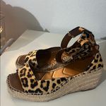 Franco Sarto Women's Camera Espadrille Wedge Sandal Leopard Print Photo 3