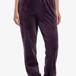 Lazypants Womens Heavyweight High Rise Velour Joggers NWT Purple Size L Photo 0