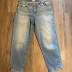 Eileen Fisher Light Wash High Rise Jeans Size 10 Photo 0