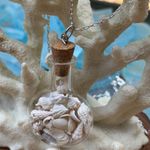 Sweet Lemons Real Miniature Seashells in a Glass Bottle Necklace  Photo 1