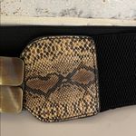 Black and Gold Wide Belt with Snakeskin Detail Photo 3