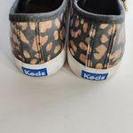 Keds ‎ Leopard Kickstart 50/50 Canvas Lace Sneakers Dream Foam Womens Size 7.5 M Photo 7