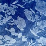 New Without tags The Pioneer Woman blue velvet lace cuff bliouse top Size XL Photo 6