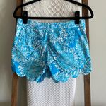 Lilly Pulitzer blue & white floral pattern cotton scalloped the buttercup shorts Photo 6