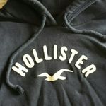 Hollister Navy  Sweatshirt Photo 1