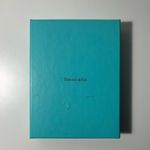 Tiffany & Co. New York NY Fifth Ave Notes Belt Scarf Tie Twirly Wrap Bandeau Photo 11