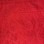 Kenar  lace lined shorts Photo 3