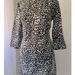 ASOS  Design Animal Leopard Print Short Dress sz 2 mini Cheetah Mob Wife Photo 0