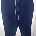 FIGS Zamora Joggers Scrub Pants In Navy Photo 1