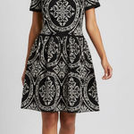 Romeo + Juliet Couture Romeo Juliet Couture Dress Photo 0