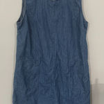 Christopher & Banks  Blue Jean Jumper Sleeveless Dress Women's Size Large Cotton Photo 0