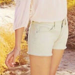 LC Lauren Conrad ✨  Women Green Denim Shorts✨ Photo 1