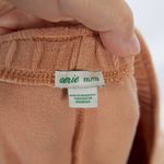 Aerie After Party Velour Jogger Pants Women's XXL Photo 3