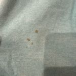 Aviator Nation  Sweatpants Photo 2