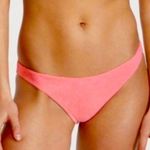 Victoria's Secret Vibrant Pink Bikini Bottom Terry cloth nwt M spring swim bathing suit $40 Photo 0