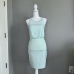 BCBGeneration NWT Women's Mesh Dress, Light Green Mink Size 4 Mini Sleeveless Photo 2