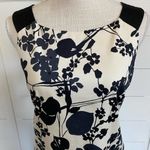 Maggy London  off white and black casual floral sheath dress sz 8 Photo 3