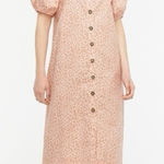 J.Crew Dress Women Size 2X Pink Leopard Cottage Regency Cottagecore Animal Print Photo 0