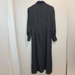 Everlane  Polka Dot Hammered Satin‎ Shirt Viscose Maxi Dress Size 4 Photo 13