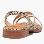 Madewell  Heidi Slingback Sandal Spotted Calf Hair Photo 2