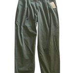 A New Day NWT--WOMENS BELTED SND PLEATED CHINO PANTS-SIZE 10 Color is grassy glen, 98% cotton and 2% spandex, brand new without tags Measurements: Waist: side by side 17 inches  Inseam: 29 inches  Photo 1