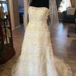 David's Bridal David’s bridal strapless lace white wedding dress with veil Photo 0