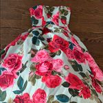 BHLDN  luciana dress Photo 4