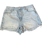 American Eagle ‎ Daisy Embroidered Mom Short Size 8 Photo 3