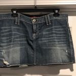 James Jeans  Denim mini skirt Photo 0