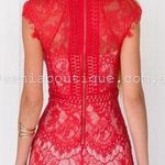 Xenia Boutique Jessica 2.0 Lace Dress Photo 3
