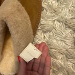 The Comfy  Slippers  Photo 9